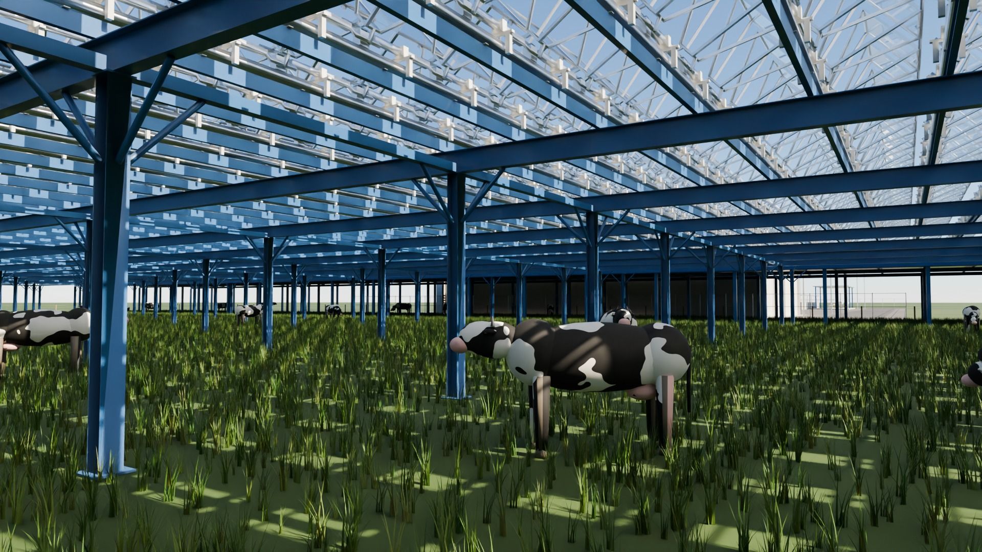 Cows grazing beneath the elevated lens field